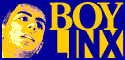 boylinx.com